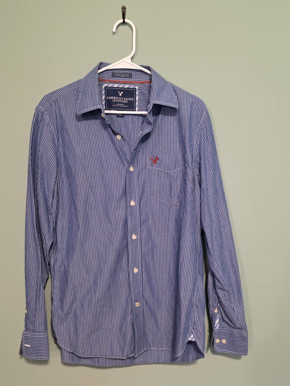 American Eagle Outfitters Blue and White Pinstripe Button-Down Shirt